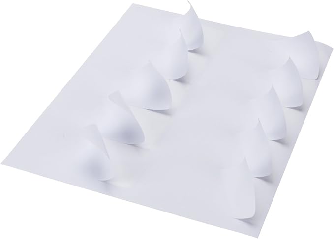 FungLam 2x4 Shipping Address Labels for Laser & Inkjet Printers, 300 Printable White Sticker Labels, 10 per Page Mailing Labels, Permanent Adhesive (30 Sheets, 300 Labels)