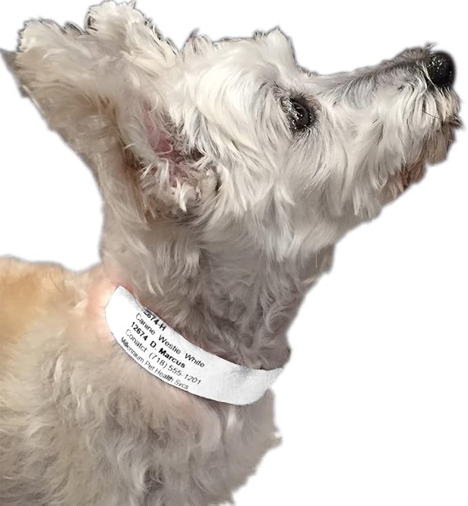 Printable Pet Collars Compatible with Various Printers and Software (White)