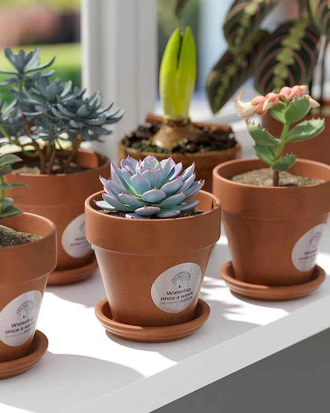 MUNBYN 2 Inch (50.8mmx50.8mm) Silver Fine Glitter Thermal Labels, Round Thermal Printer Stickers for Small Businesses, 500 Labels/1 Roll