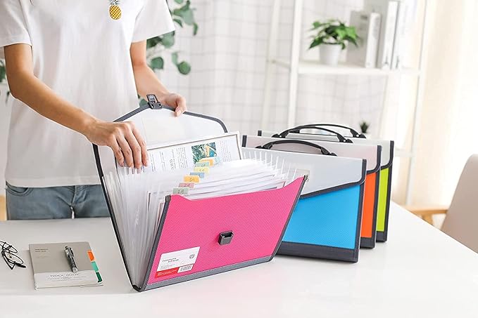 Expanding Accordion File Folder with Labels, 13 Pocket Document Organizer, Letter A4 Size, 1 Pack