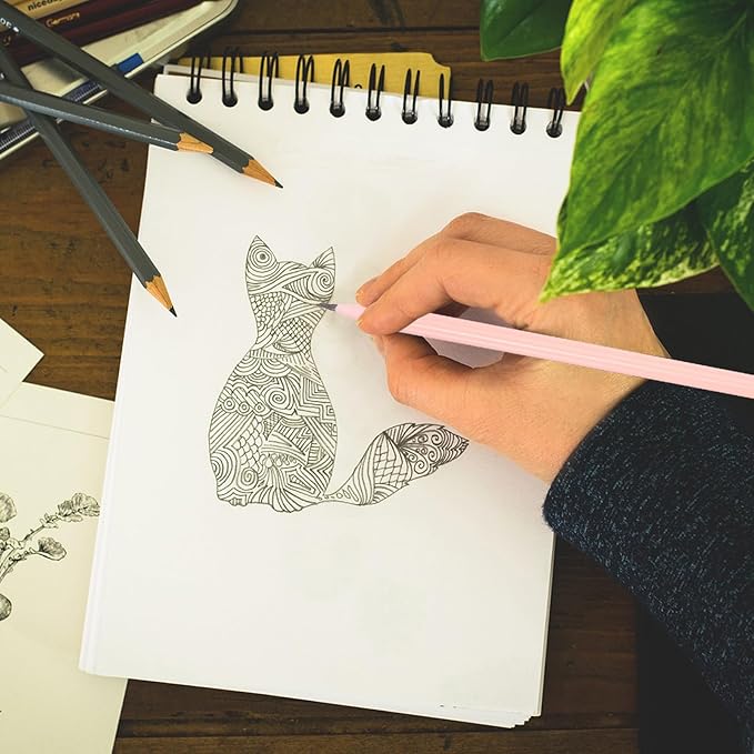 PATIKIL Round Pencils, 12 Pcs Triangle HB Graphite Pencil Wooden Pencils with Eraser for Classroom Office Writing Drawing Supplies, Pink