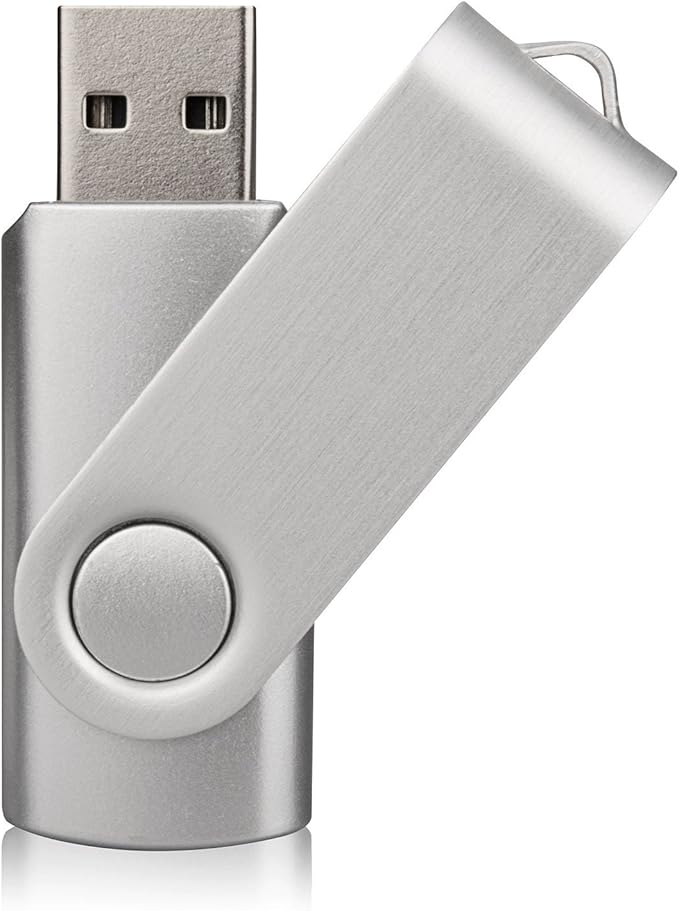 Aiibe 10 Pack 128GB Flash Drive USB Drive Thumb Drives USB 2.0 Memory Stick Jump Drives 128GB USB Flash Drive Bulk (10 Mixed Colors: Black Blue Red Green Orange White Yellow Pink Purple Silver)