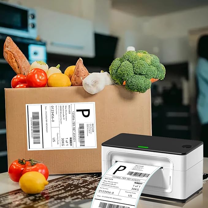 4”×6" Thermal Labels, FungLam 4”×6” Thermal Shipping Labels, Address Mailing Labels, Compatible with Rollo, Munbyn, Zebra,iDPRT Thermal Printers, 250 Labels/Roll