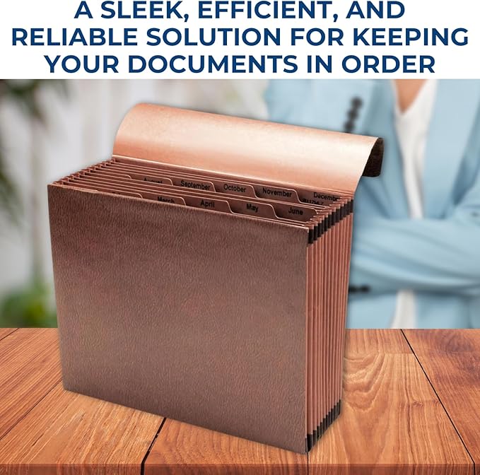 1InTheOffice Accordion File Organizer, Expandable File Folder Organizer, 12 Pocket Accordion Folder, Monthly Index, Elastic Cord, 1/6-Cut Tabs, Letter Size, Red Rope