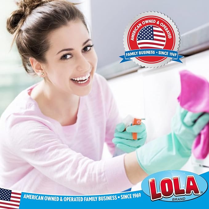 LOLA Microfiber & Nylon Net Sponges, 4 Pack, 2 Dual Sided Non Scratch Sponge Pads & 2 w/Microfiber Cloth One Side and Nylon Net Other Side