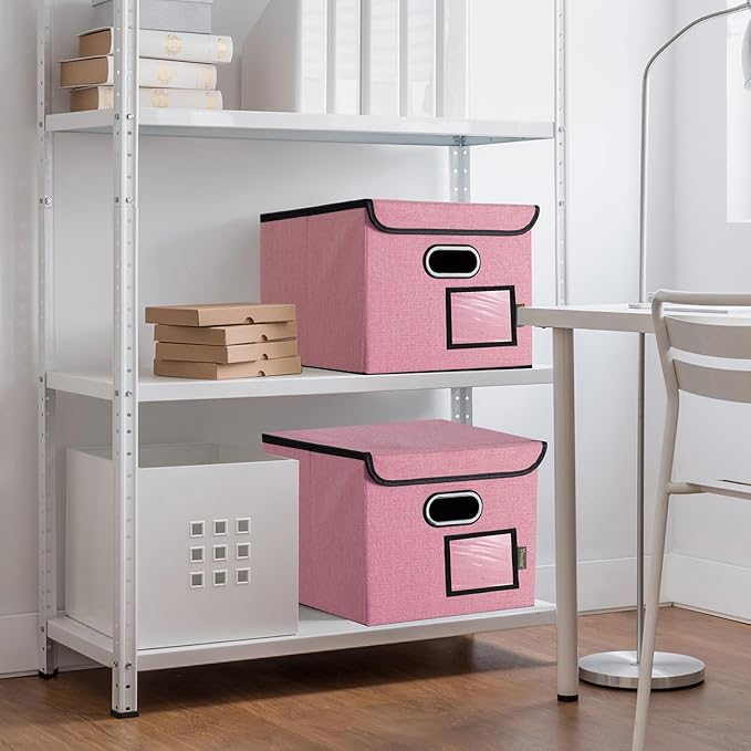 BALEINE File Organizer Box with Lid, Collapsible File Folder Organizer with Plastic Slide, Hanging File Folder Box for Office Document Storage (2 Pack, Pink)