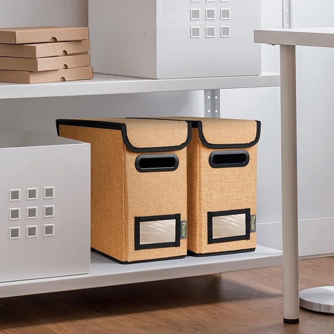 BALEINE File Organizer Box with Lid, Collapsible File Folder Organizer with Plastic Slide, Hanging File Folder Box for Office Document Storage (2 Pack, Orange, S)