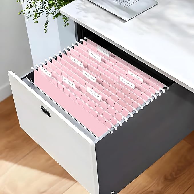 SUNEE 6 Pack Hanging File Folders, Pink Folders, Hanging File Folders Letter Size with 1/5-cut Tabs, Stay Organized for Your Home and Office Bulk File and Documents