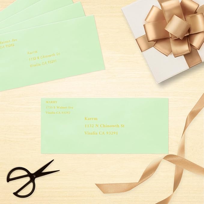 200 Pack #10 Business Envelopes, Light Green Standard Envelopes Self Seal, Letter Size Mailing Envelopes for Checks Letters Invoices Christmas Birthday Graduation Wedding, 4 1/8 x 9 1/2 Inch