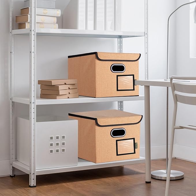 BALEINE File Organizer Box with Lid, Collapsible File Folder Organizer with Plastic Slide, Hanging File Folder Box for Office Document Storage (2 Pack, Orange)