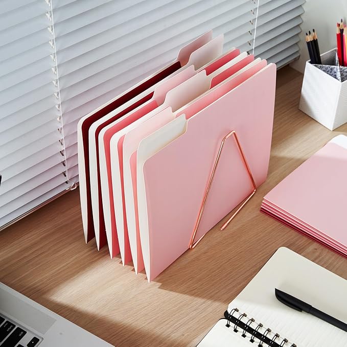 Y YOMA 12 Pack Colored File Folders Letter Size Gradient File Folder with 1/3-Cut Tab Cute Pretty Decorative Heavyweight Filing Folder File Organizers for Office School Home Desktop, Cute Pink