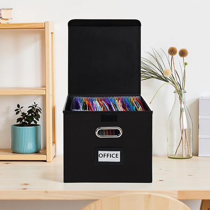 File Organizer Box with Folder, 25 Pockets Accordion File Organizer with Colored Labels, Upgraded & Portable File Folders for Home, Office, School, Black