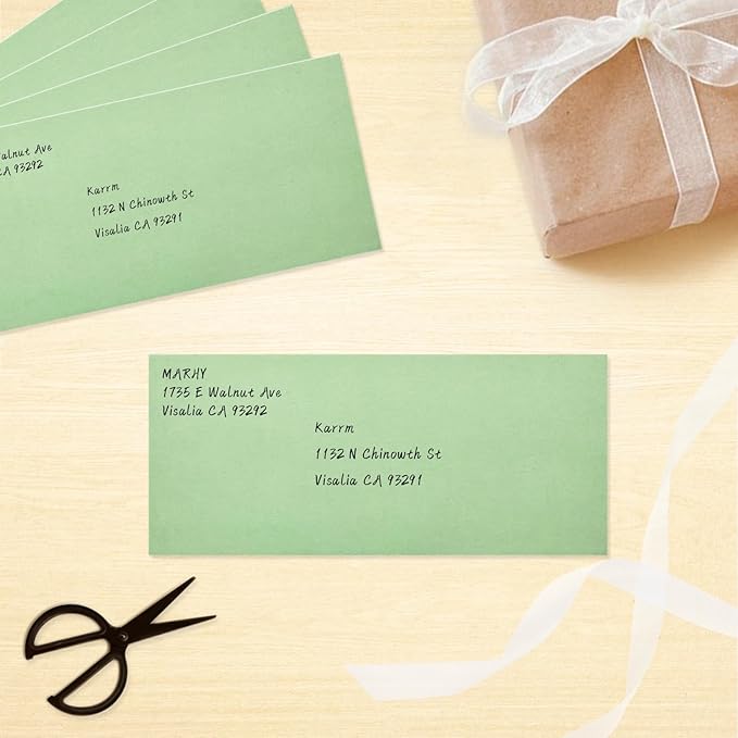200 Pack #10 Business Envelopes, Sage Green Standard Envelopes Self Seal, Letter Size Mailing Envelopes for Checks Letters Invoices Statements Birthday Graduation Wedding, 4 1/8 x 9 1/2 Inch