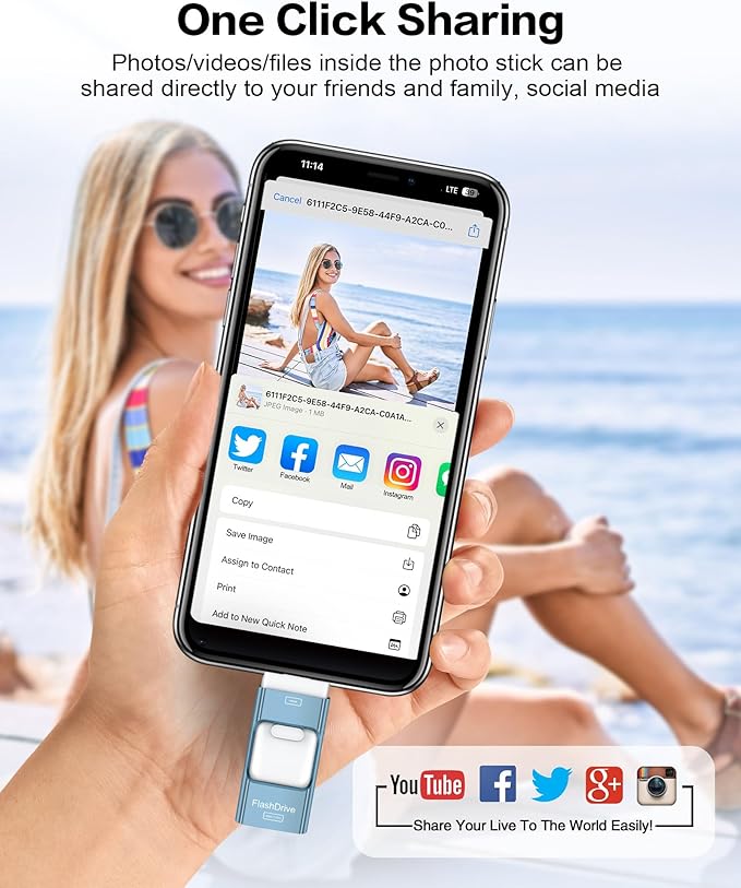 256GB Flash Drive for iPhone Photo Stick,Thumb Drive USB Stick High Speed Transfer USB Drives External Picture Video Storage Memory Expansion for iPhone/iPad/PC (Blue)