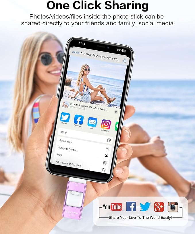 ZARMST 256GB Flash Drive for iPhone Photo Stick,Thumb Drive USB Stick High Speed Transfer USB Drives External Picture Video Storage Memory Expansion for iPhone/iPad/PC (Purple)