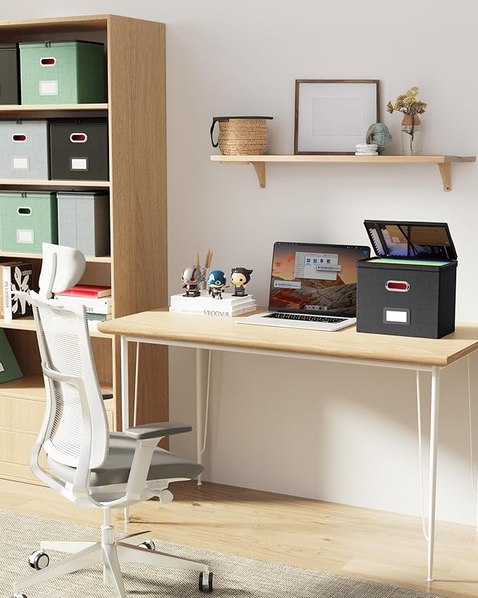 Oterri 2 Pack File Organizer Boxes with Lids, File Box with Mesh Pockets, Document Organizer Box for File Folders Letter Size, Zippers Filing Box for Home, Office, School (Black, Without Folders)