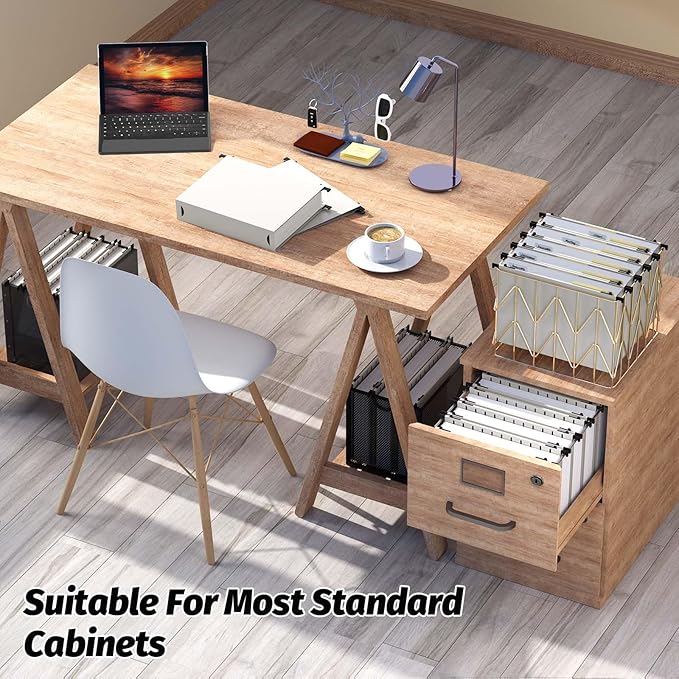 Extra Capacity Plastic Hanging File Folders,12 Pack Reinforced Hang Folders,Heavy Duty 2 Inch Expansion,Plastic Filing Cabinet Folders,Letter Size,Designed for Bulk Files, Medical Charts,Grey