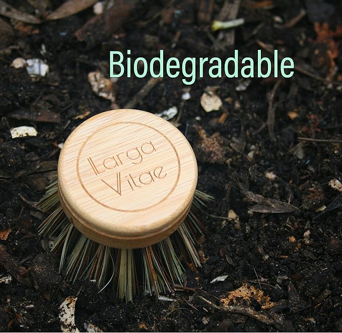 Larga Vitae 6 pcs Wooden Dish Brush Replacement Heads Made of Renewable Bamboo Wood and Natural Bristle Fiber, Durable, Long Lasting (Palm/Coconut Fiber Bristles)