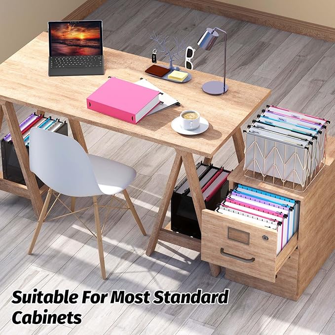 Extra Capacity Plastic Hanging File Folder,12 Pack Reinforced Hang Folders Letter Size,Heavy Duty 2 Inch Expansion,Filing Cabinet Folders,for Bulk Files, Medical Charts,Assorted Colors