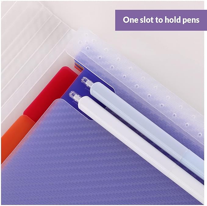 SKYDUE Accordion File Organizer, 13 Pocket File Folder Organizer with Clear Cover, Expanding Document & Paper Organizer with Tabs, Letter A4 Size, for Home or Work