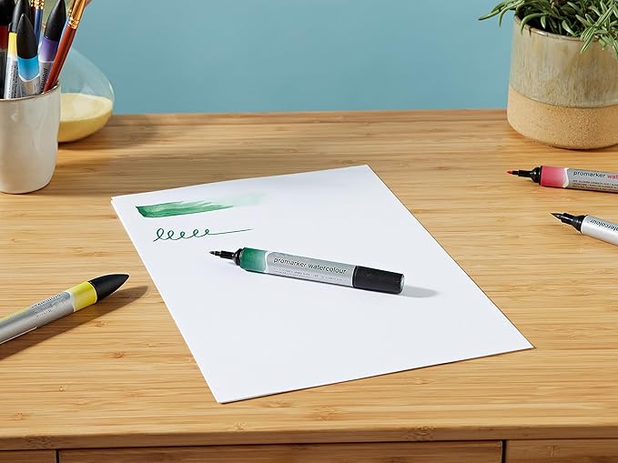 Winsor & Newton ProMarker Watercolor Marker Set, 12 Count, Basic Tones