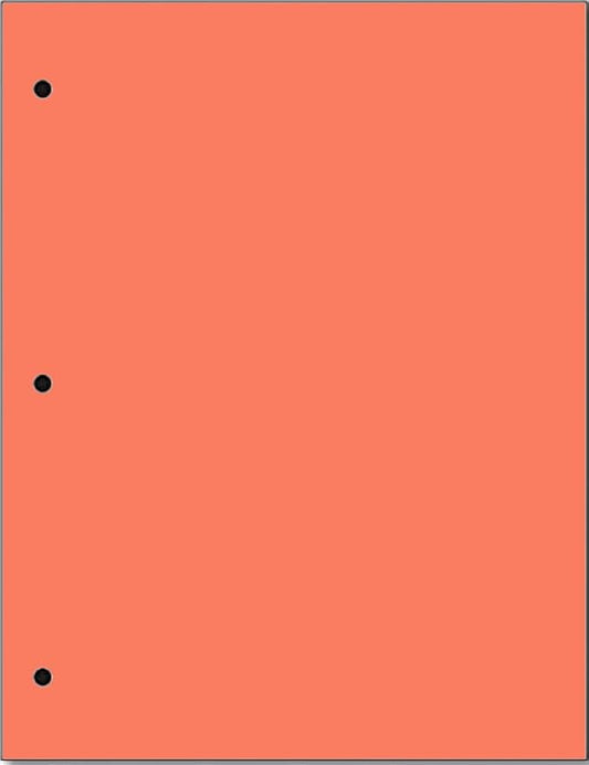 Copy And Printing Color Paper, 20 Lb. 3 Hole Punch 500 Sheets Per Ream. (Salmon)