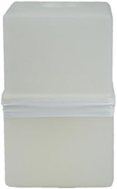 Atrix 710333 Plus Replacement Standard Filters for Express Vacuum Series, 1-Quart (2 Pack)