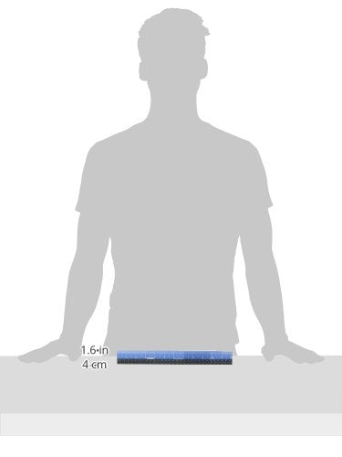 Victor EZ12PBL Plastic Dual Color 12 Inch Easy Read Ruler with Inches, Centimeters and Millimeters Measurements, Blue/Black