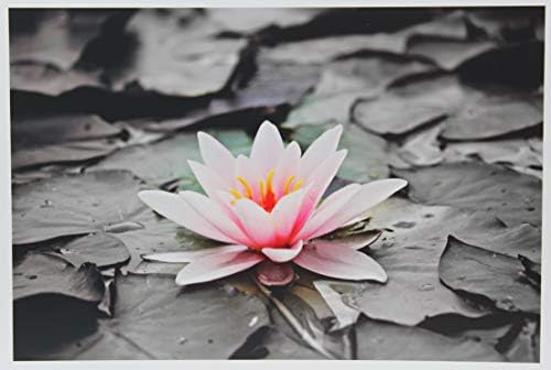 PPD Glossy Photo Paper for Inkjet Printer, 8.5 x 14" Premium Quality Printable Sheets for Custom Picture, Professional Photographic Instant Dry For Normal, Dye or Pigment Ink (50 Pack/255 gsm)