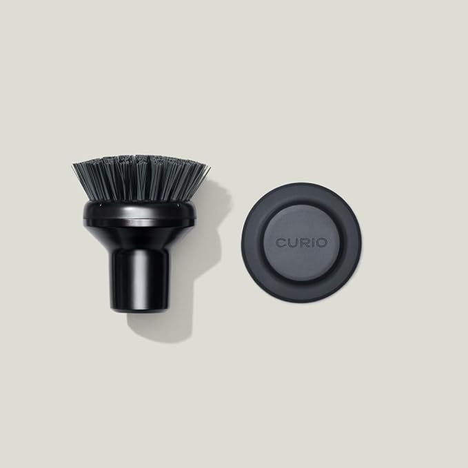 Ionic Palm Brush, Magnetized to Stand Upright, Stainless Steel with Replaceable Head, Onyx/Black