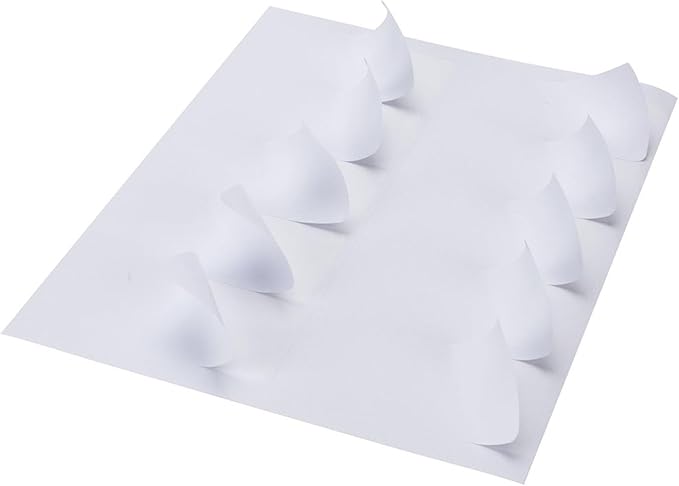 2"x4" Shipping Address Labels, FBA 10 Up Address mailing Labels, White Sticker Address Labels for Laser/Inkjet Printer (100 Sheets, 1000 Labels)