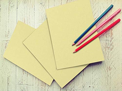 100 Assorted Colored Sheet Card Stock - Vellum Bristol Cover, Copy, Printer Paper, 67lb, 147gsm, 8.5" x 11", 20 Pieces of 5 Colors (Pink, Blue, Green, Cream, Gray)