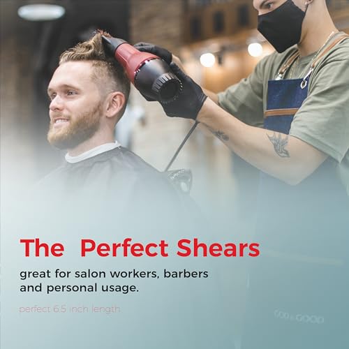 Suvorna Shears for Hair Cutting - Barber Scissors for Hair Cutting - Extremely Sharp Hair Cutting Scissors to Cut Hair - Made with 6.5" Stainless Steel with Key - Hair Shears for Women, Men and Adults