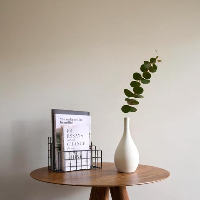 File Folder Organizer for Desktop,3 Section Metal Vertical magazine Stand Holder,Paper tray/Mail countertop/Record/Letter/Book Rack Sorter Holders,Desk organizers and accessories & office supplies