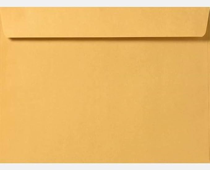 Limited Papers (TM) Booklet Envelopes, (Open Side) Brown Kraft, Gummed Seal, 28 Pound, Heavyweight, For Mailing And More. (250, 6 x 9.5)