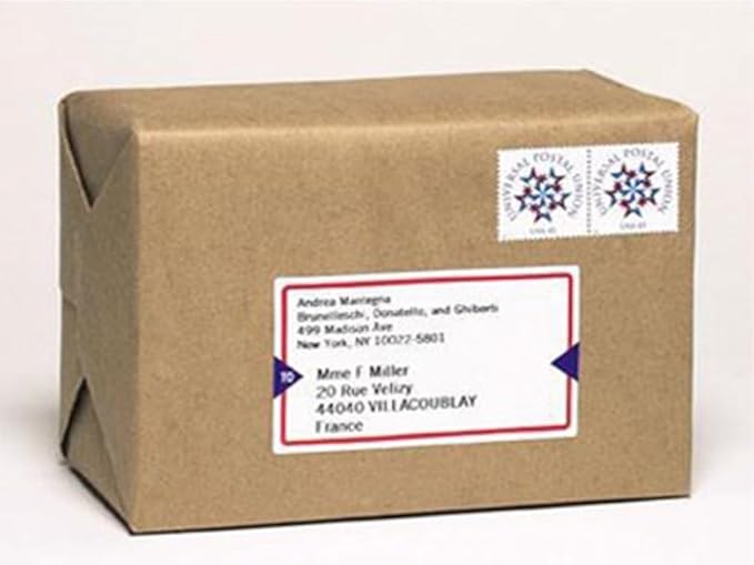 Replacement for DYMO 30323 (2-1/8" x 4") Shipping/Name Badge Labels, Compatible with DYMO Labelwriter 450, 4XL, 550,5XL Rollo & Zebra Desktop Printers [10 Rolls/2200 Labels]