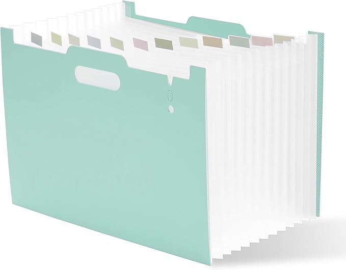 Y YOMA 2 Pack Accordion File Organizer with Handle 12 Pockets Expanding File Folder with Removable Tabs for A4 Letter Size Paper Portable Plastic Filing Organizer Bill Receipt Holder, Mint Green
