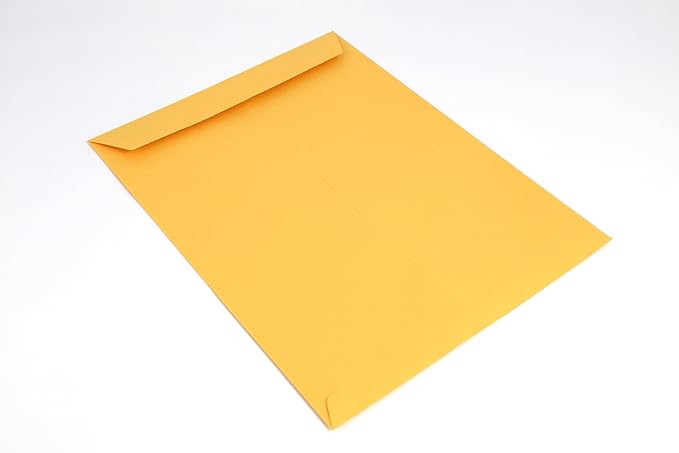 Manila Envelopes 9x12, 28lb Brown Kraft Paper, Self Seal adhesive tape, 100 count