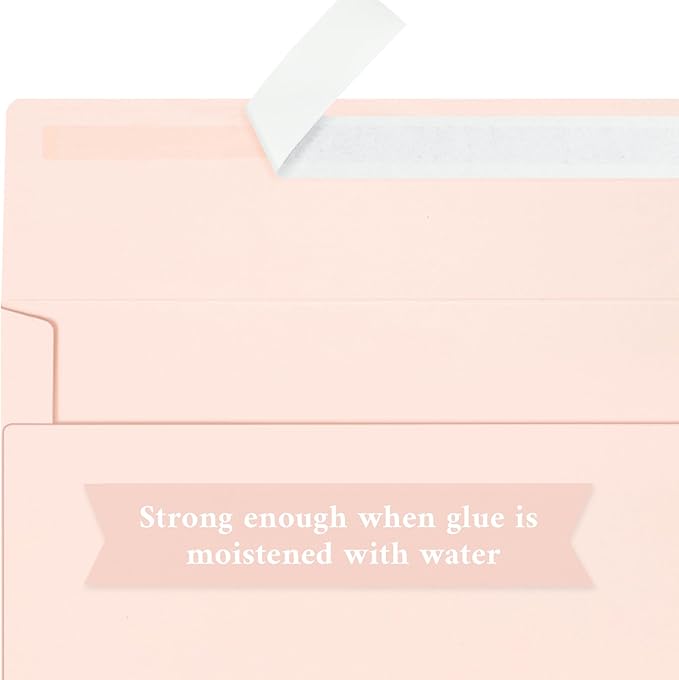 200 Pack #10 Business Envelopes, Blush Pink Standard Envelopes Self Seal, Letter Size Business Mailing Envelopes for Checks Invoices Statements Birthday Graduation Wedding, 4 1/8 x 9 1/2 Inch