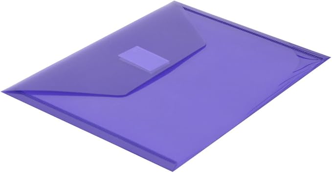 JAM PAPER Plastic Envelopes with Hook & Loop Closure - Index - 5 1/2 x 7 1/2 - Purple - 12/Pack