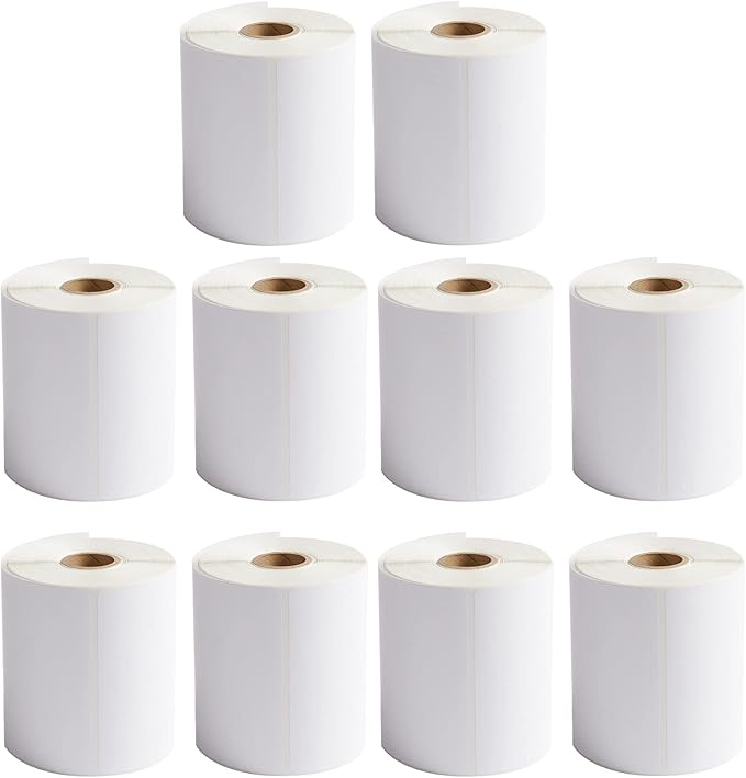 FungLam 10 Rolls 4"x6" Direct Thermal Printer Label, Shipping Labels Compatible with Zebra, Rollo and Most Thermal Printer, Perforated Postage Label Paper, 250 Labels/Roll