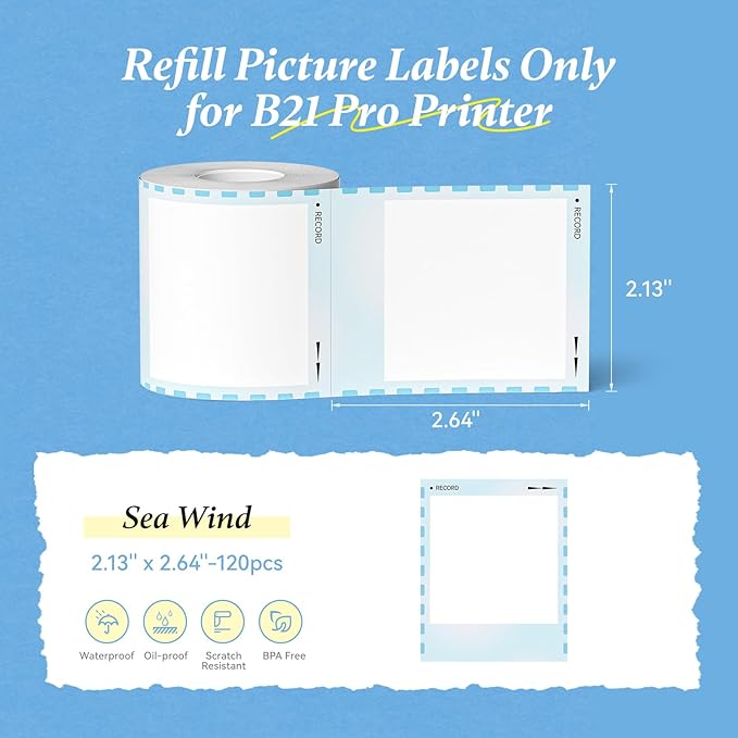 NIIMBOT Photo Papers Only for B21 Pro 300DPI Label Maker, Thermal Picture Labels Good Idea to Print Photos, Beauty Memories, Note,List (2.13''x2.67''-54x67mm)