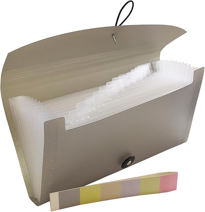 Small Accordion File Organizer - 13 Pocket Expanding Folder for Receipts, Bills, and Envelopes - Money Saving Binder (Black)