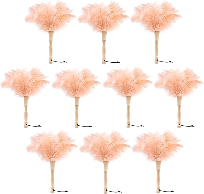 MehelloFeather Ostrich Feather Duster 12 Inch Handheld Duster Supplies, Wooden Handle Feather Duster for Cleaning Keyboard Home Car Office (Champagne 10Pcs)