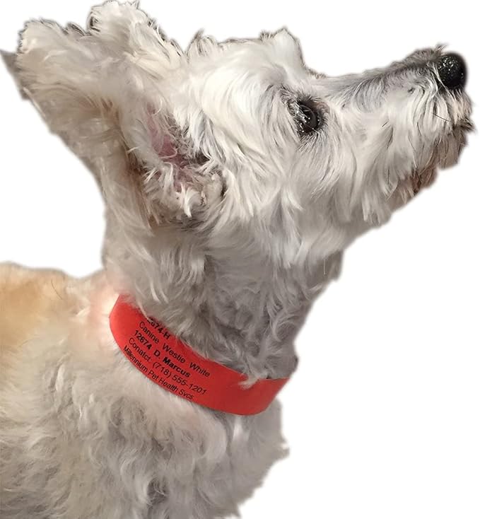 Printable Pet Collars Compatible with Various Printers and Software (RED)