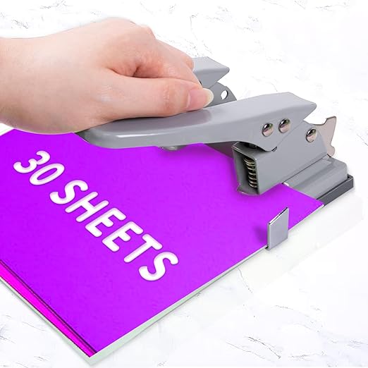 Hole Punches, 2 Hole Punch, Adjustable Two Hole Punch, Heavy Duty 2-Hole Punches, 30 Sheet Capacity HolePuncher, Metal Paper Puncher, Locking Handle