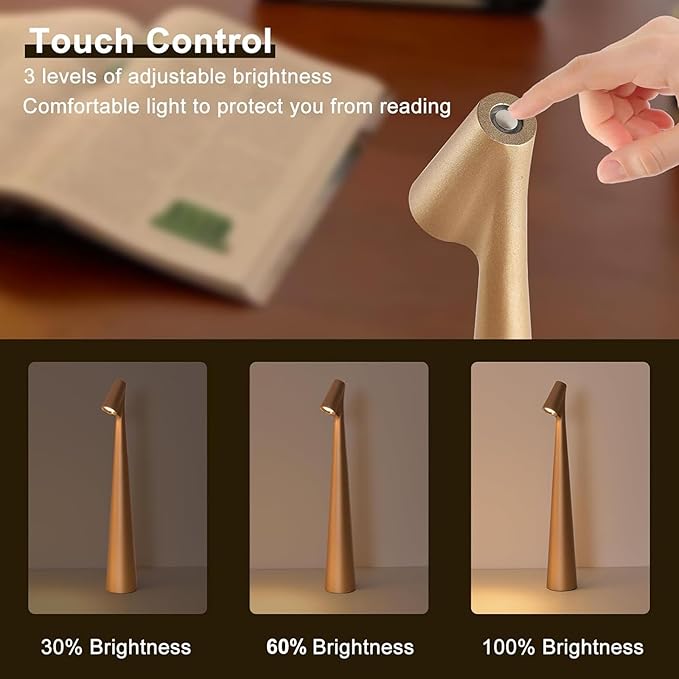 Cordless Small Table Lamps Set of 2,3 Levels Brightness Portable Desk Lamp,Rechargeable Battery Lights for Outdoor, Restaurant, Bedside, Baby Night Light,Gifts(Gold)
