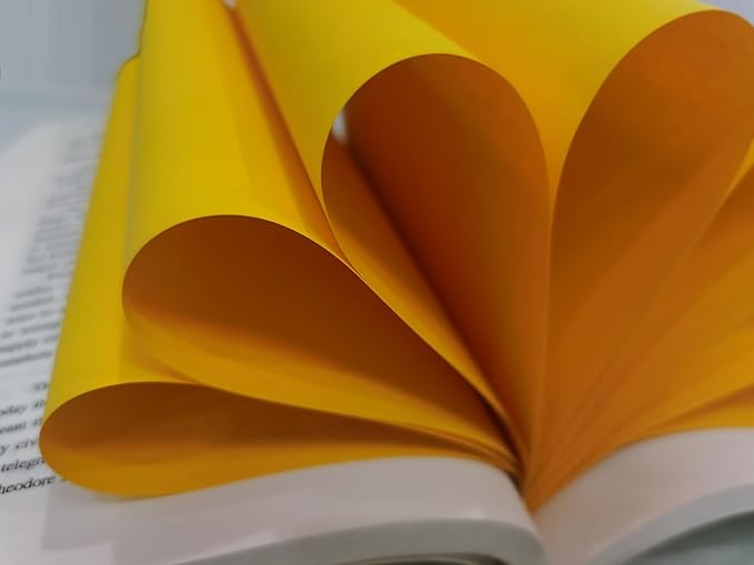 Orange Copy Print Paper 8.5X11 Inches,100 Sheets Rainbow A4 Printer Paper 70GSM Colored Origami Paper for Cutting DIY Kids Art Craft