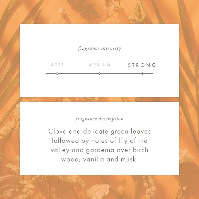 ScentAir Whisper Home Monthly Plug-in Refill, Fragrance Cartridge for Home and Office, Amazon Exclusive, Kashmir