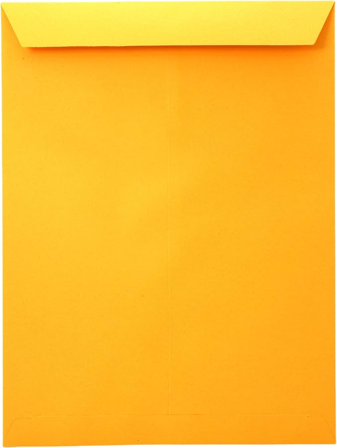 Manila Envelopes 9x12, 28lb Brown Kraft Paper, Self Seal adhesive tape, 100 count